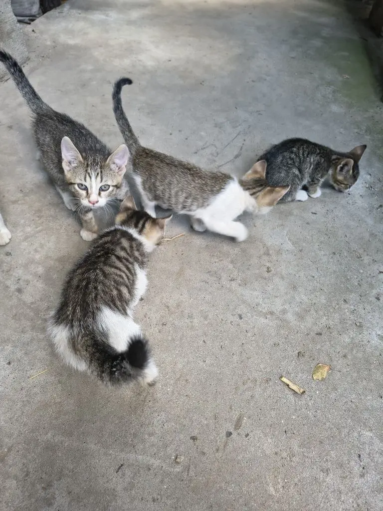 5 / 7