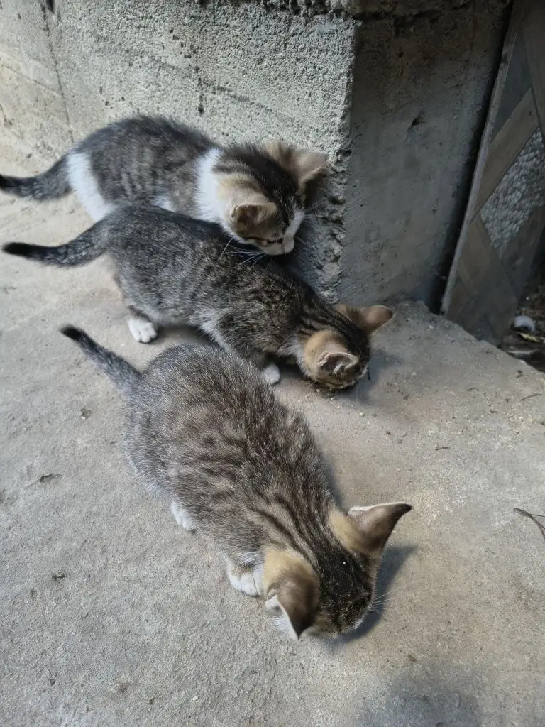 6 / 7