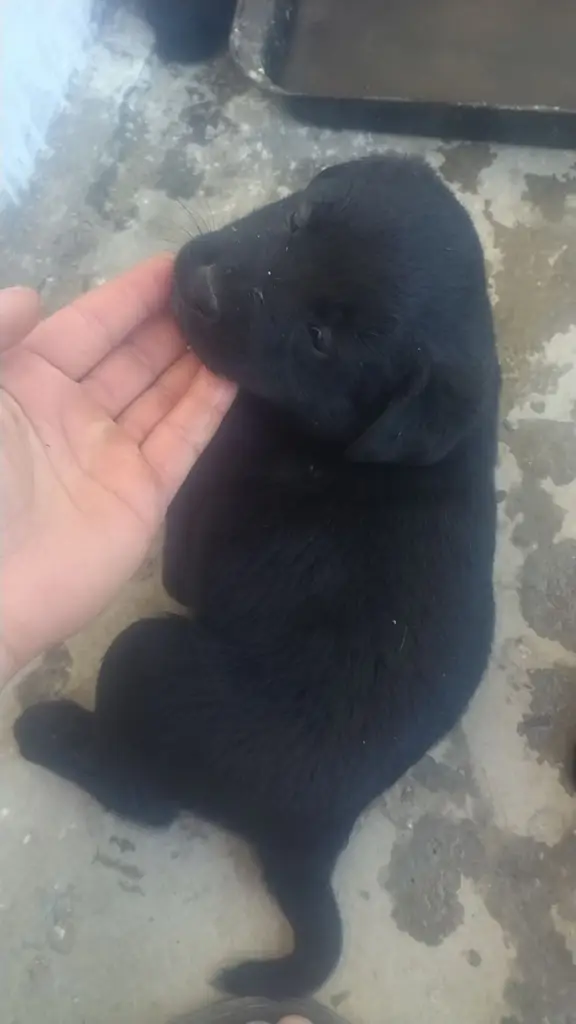 4 / 10