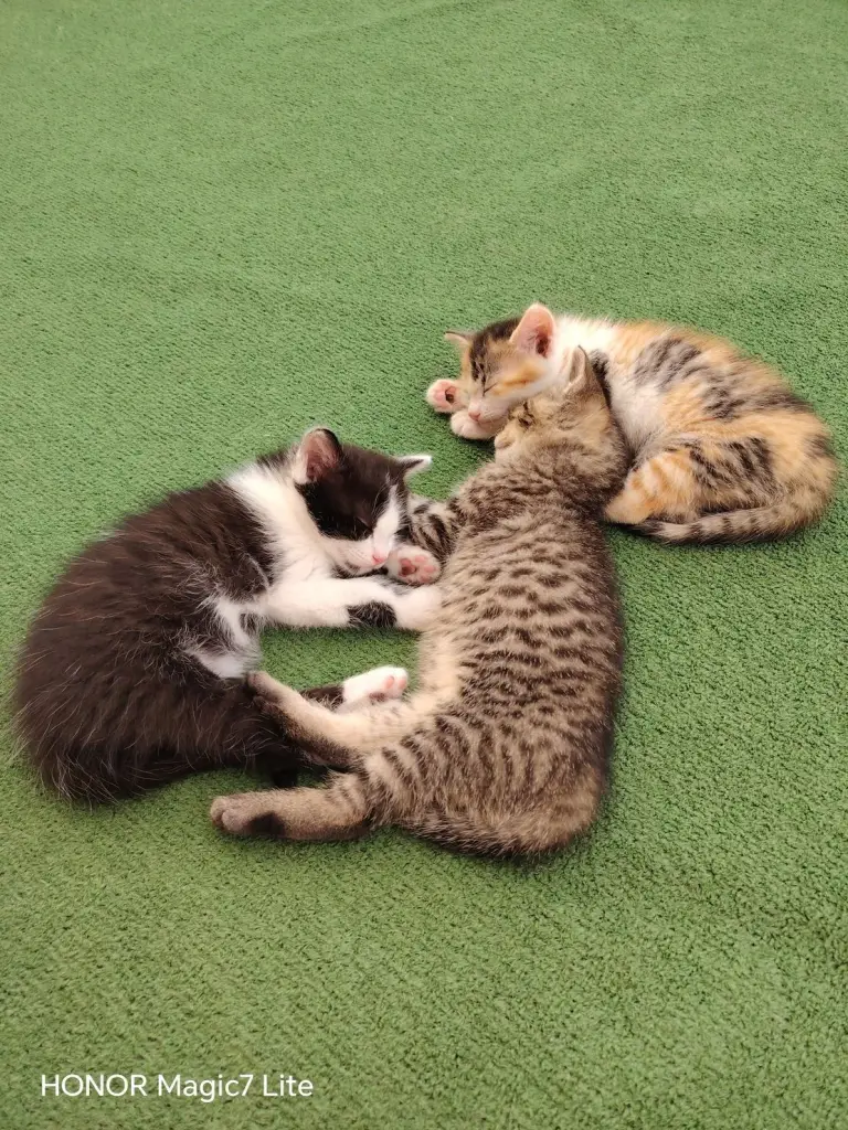 3 / 3