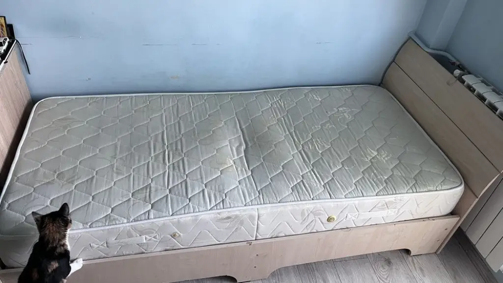 2 / 2