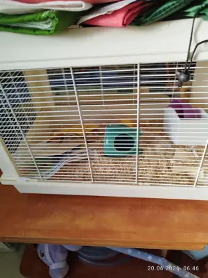 3 cuști pentru hamster