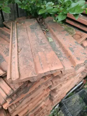 Donez 700 de tigle întregi din demolare.