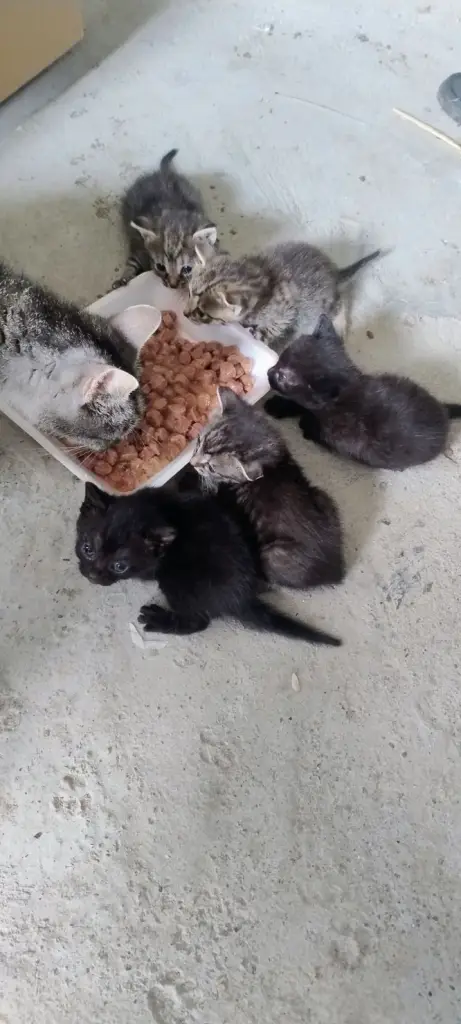 3 / 4