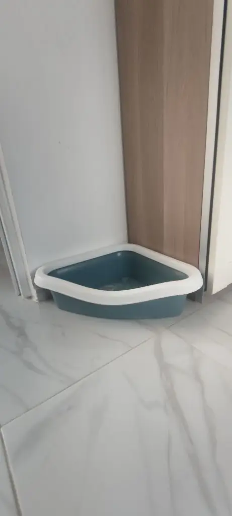 2 / 2