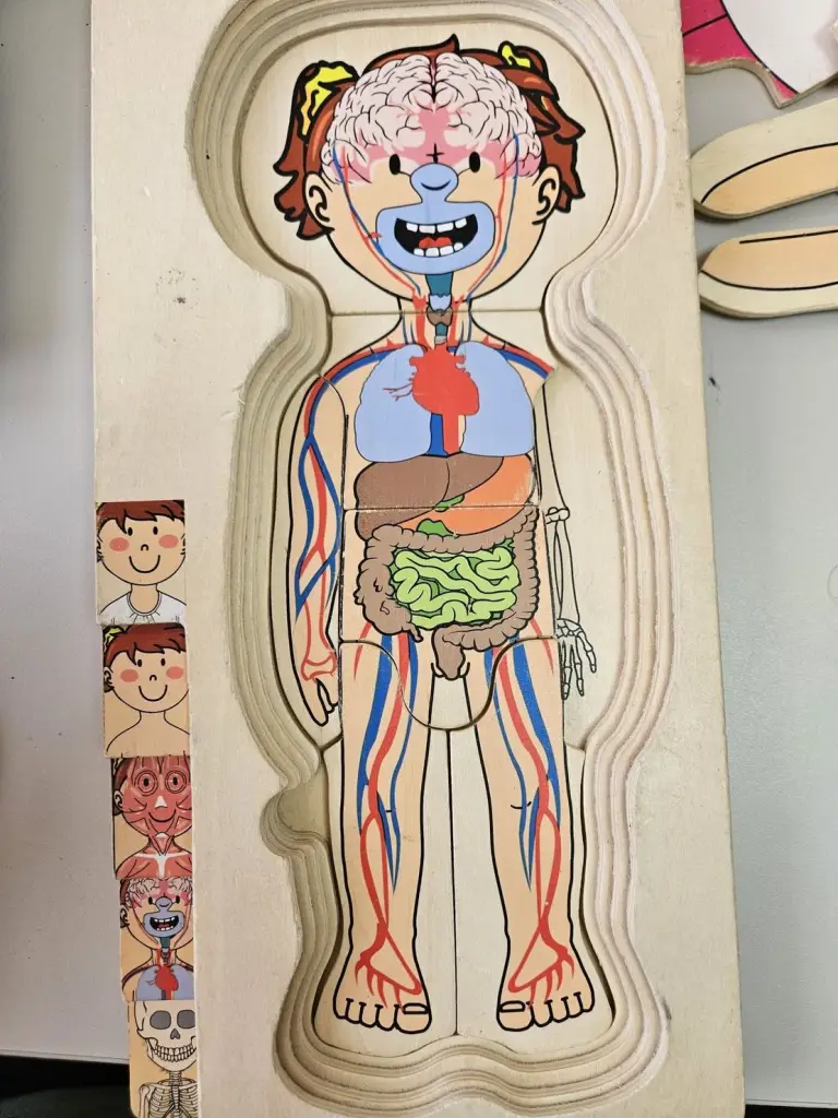 5 / 5