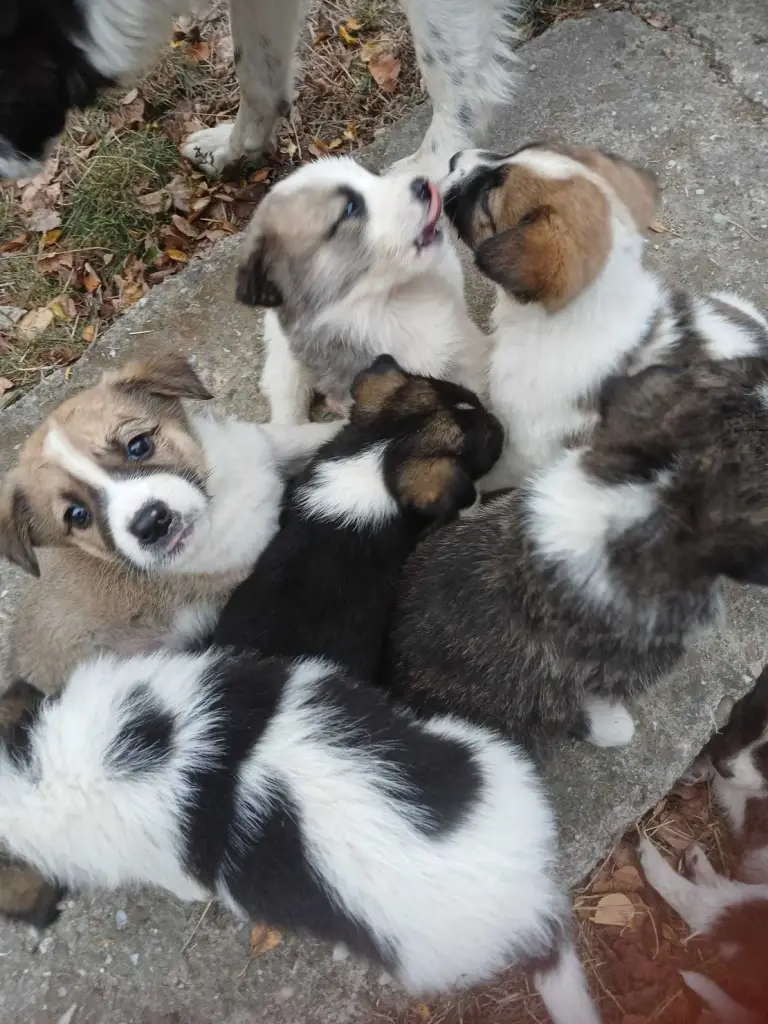 4 / 7