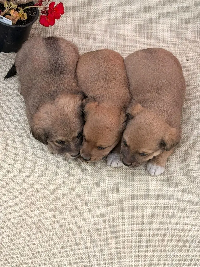 2 / 8