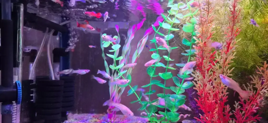 4 / 7