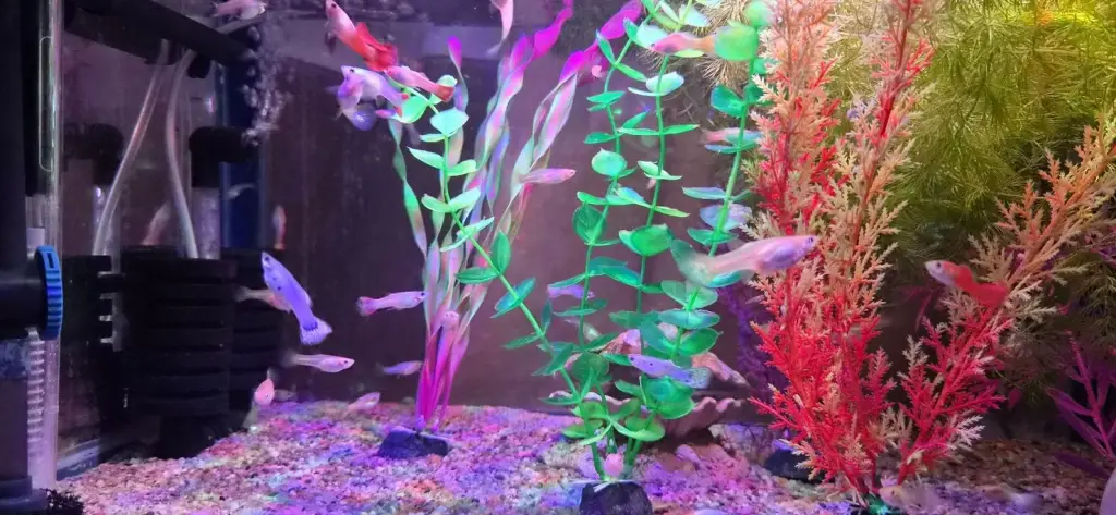 5 / 7