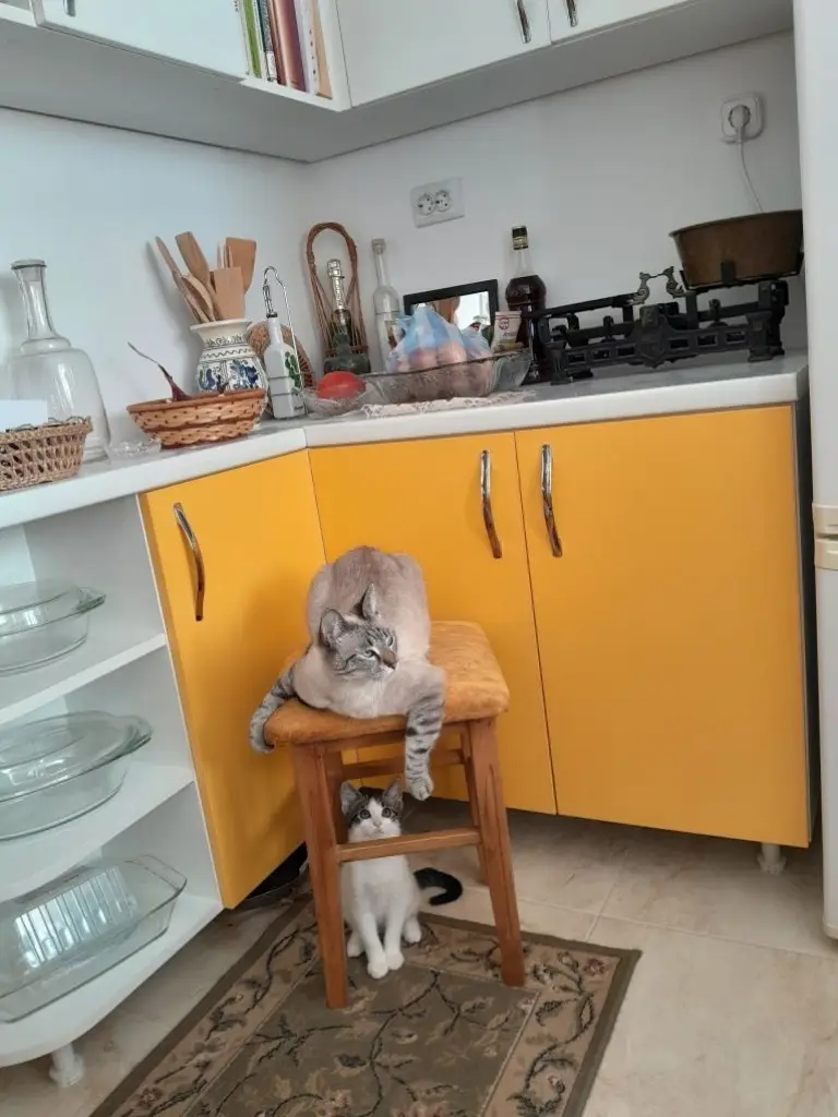 3 / 4