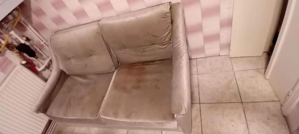 2 / 2